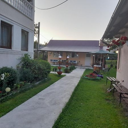 Hotel Casa Ionescu Sadova  Esterno foto