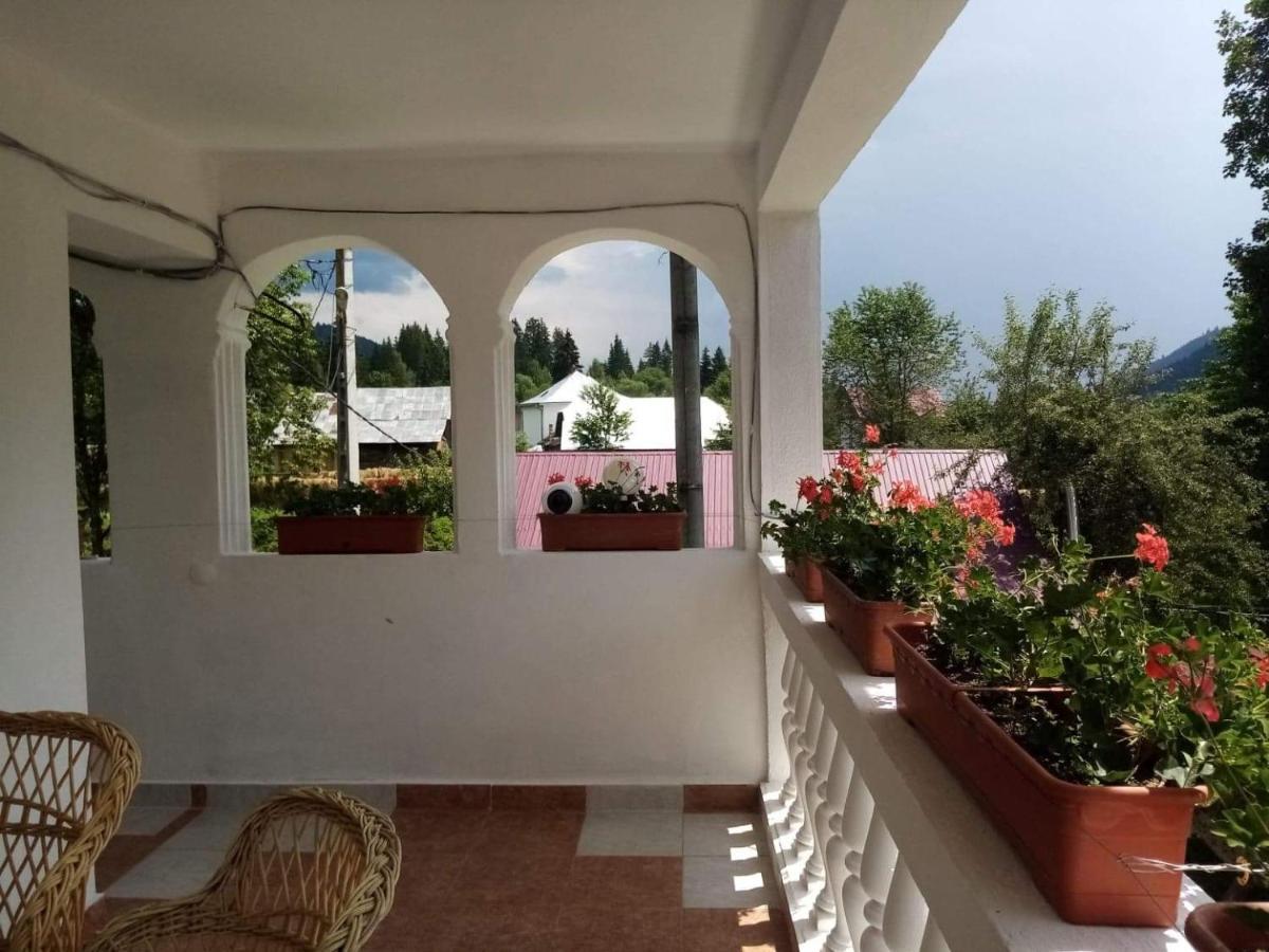 Hotel Casa Ionescu Sadova  Esterno foto