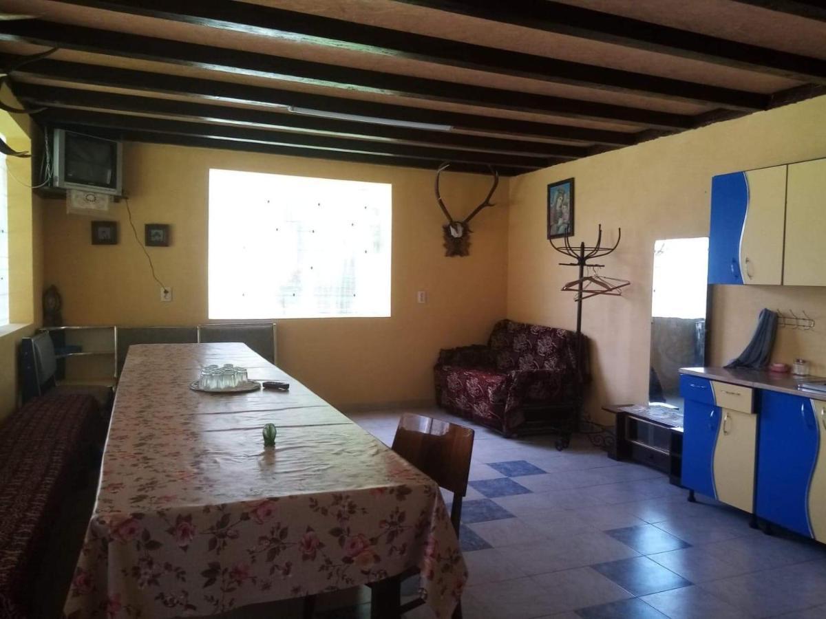 Hotel Casa Ionescu Sadova  Esterno foto