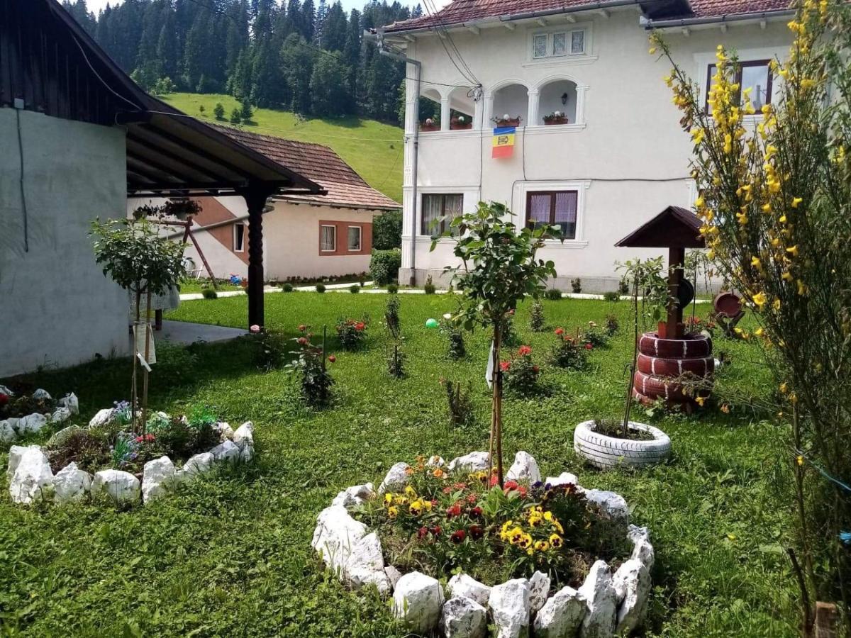 Hotel Casa Ionescu Sadova  Esterno foto