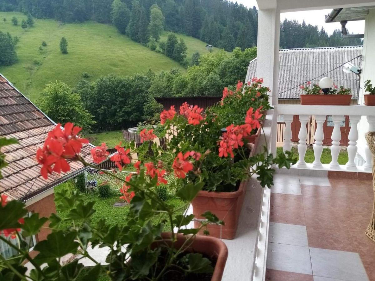 Hotel Casa Ionescu Sadova  Esterno foto