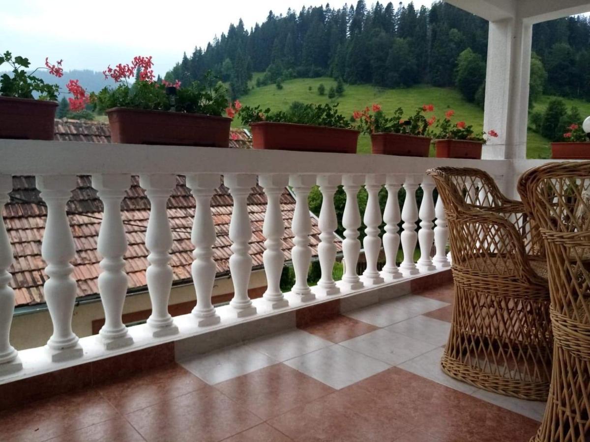 Hotel Casa Ionescu Sadova  Esterno foto