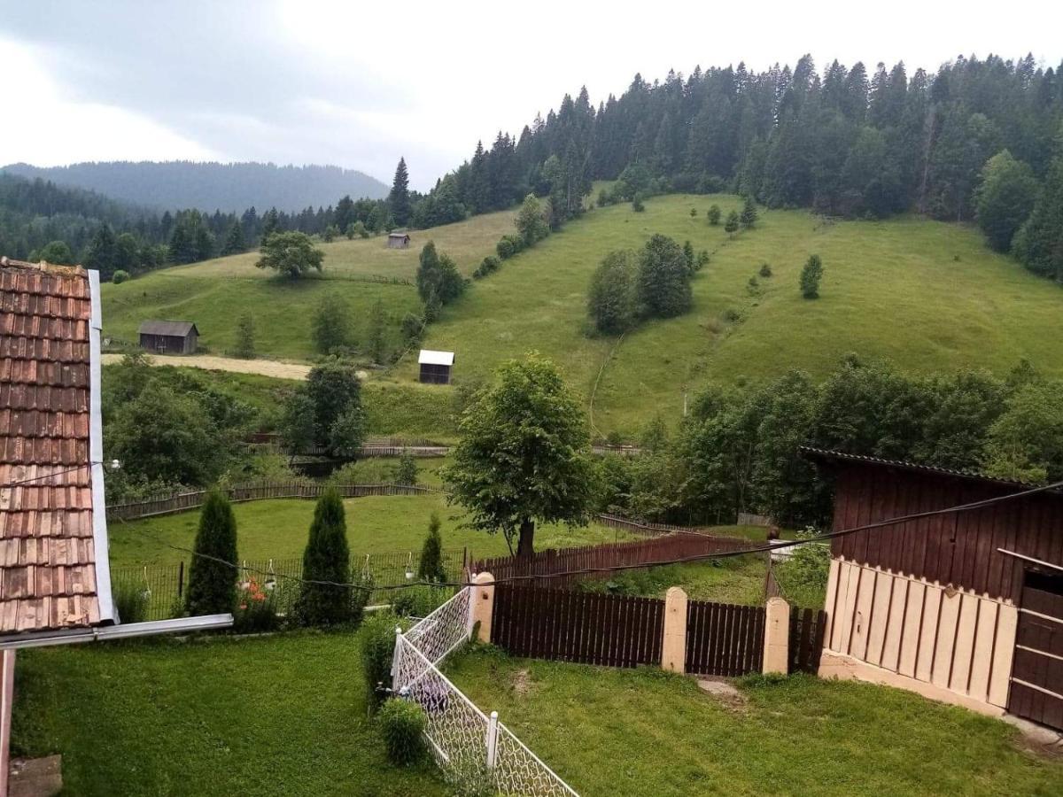 Hotel Casa Ionescu Sadova  Esterno foto