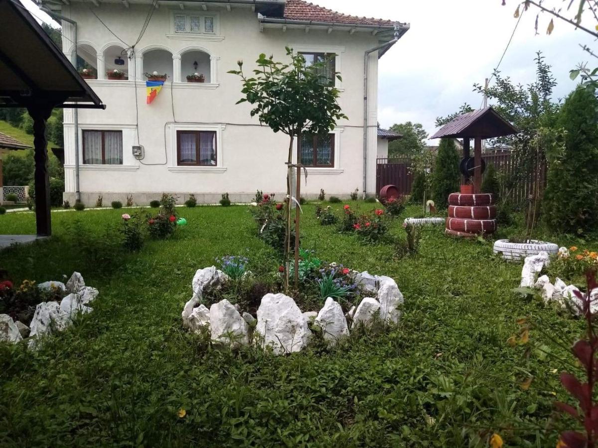 Hotel Casa Ionescu Sadova  Esterno foto