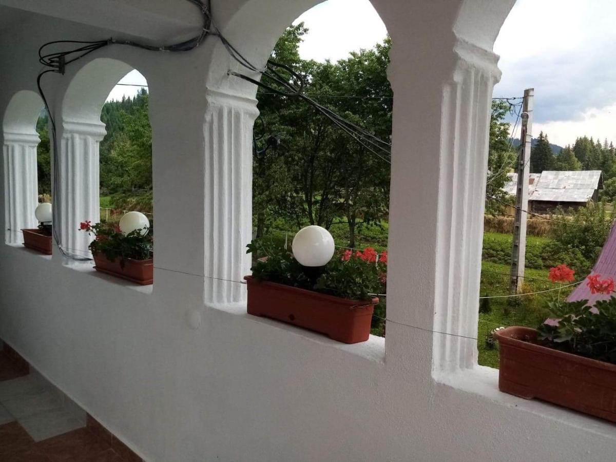 Hotel Casa Ionescu Sadova  Esterno foto