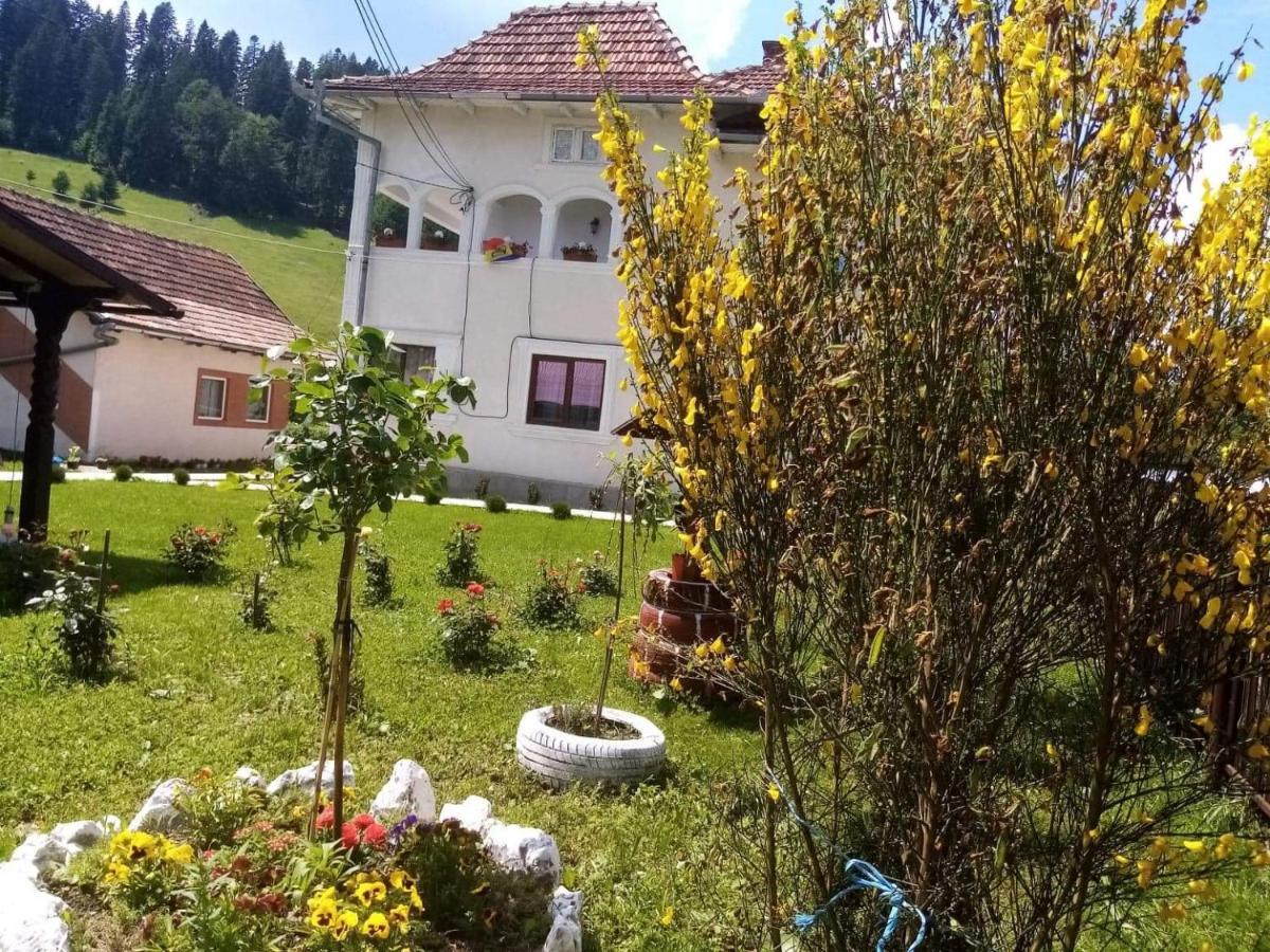 Hotel Casa Ionescu Sadova  Esterno foto